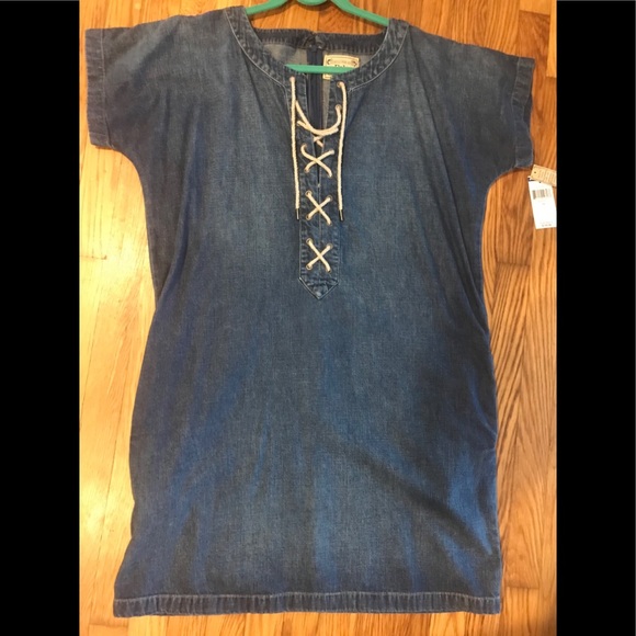 lauren denim shift dress